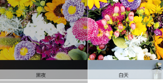 爱普生CH-TW7000(图5)