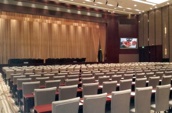 武汉市某会议厅(图2)